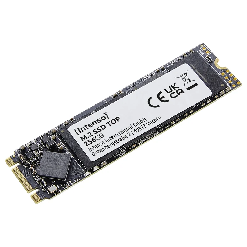 M.2 256GB Intenso Top Performance