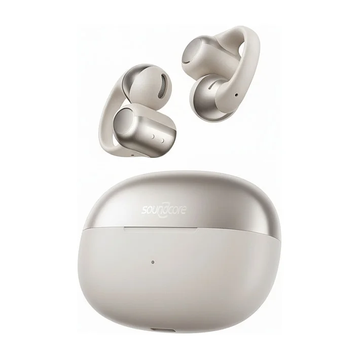 Shokz OpenDots One Grau