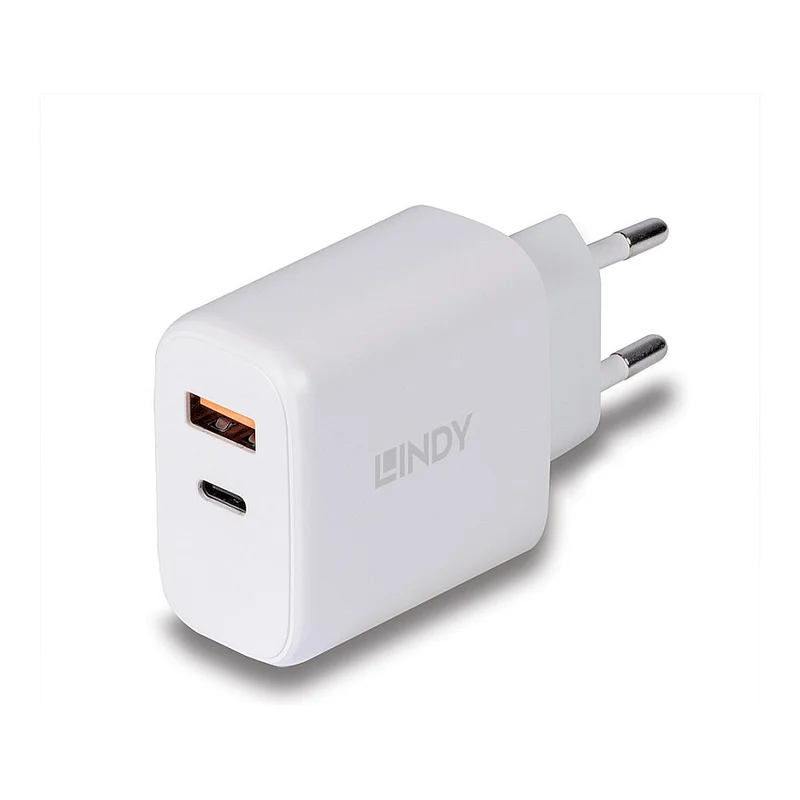 LINDY USB Ladegerät Typ A & C Charger 30W, weiß