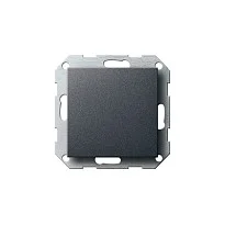 GIRA 026828 Blindabdeckung m.Tragring System 55 anthrazit