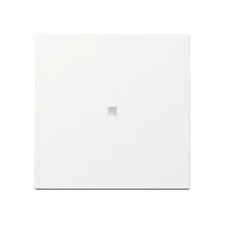 GIRA 329003 Wippe Kontrollf. System 55 Reinweiß