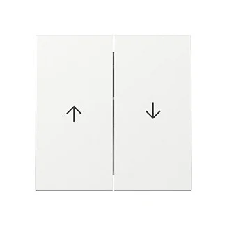 GIRA 329403 Wippe 2f Pfeil System 55 Reinweiß