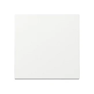 GIRA 329603 Wippe System 55 Reinweiß