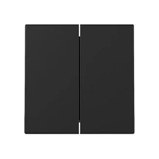GIRA 3295005 Wippe 2f System 55 Schwarz m