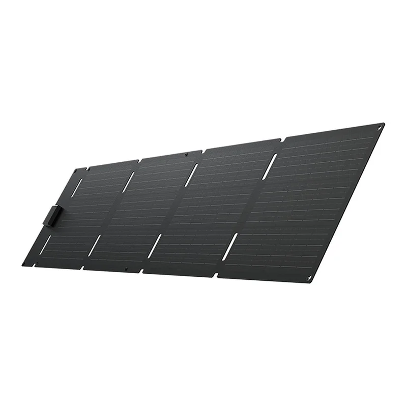 EcoFlow 60W - Solar Panel Type-C