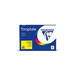 Clairefontaine Kopierpapier Trophée chamois DIN A4 80 g/qm 500 Blatt
