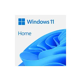 Microsoft Windows 11 Home - Box-Pack - 1 Lizenz - Flash-Laufwerk
