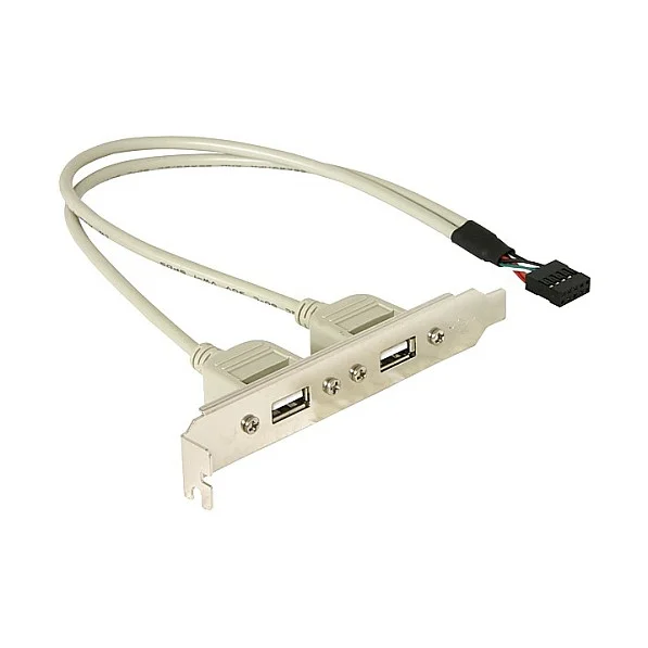 Slotblech 2 x USB 2.0 Typ A Buchse extern